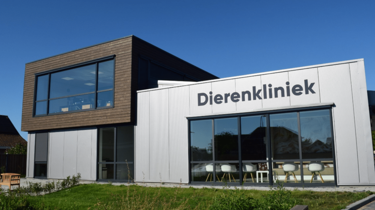 Verlichting Luxor Licht Dierenkliniek Steenbergen